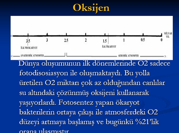 Karnitin ve Serbest Oksijen Radikalleri Temizleyicileri