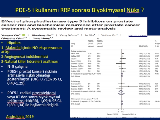 Radikal Prostatektomi Sonrası Erektil Disfonksiyon