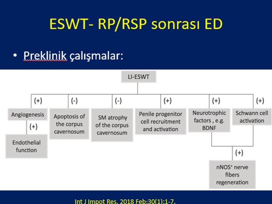 Radikal Prostatektomi Sonrası Erektil Disfonksiyon