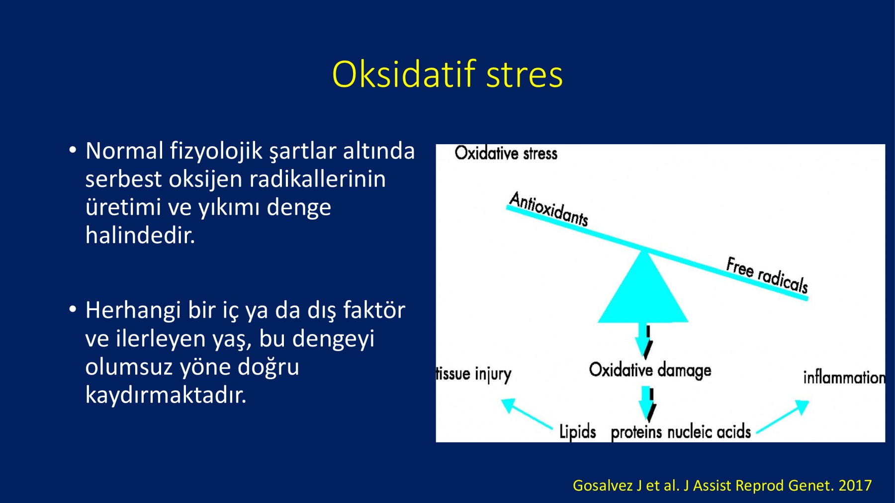 Erkek İnfertilitesinde Proxeed Plus