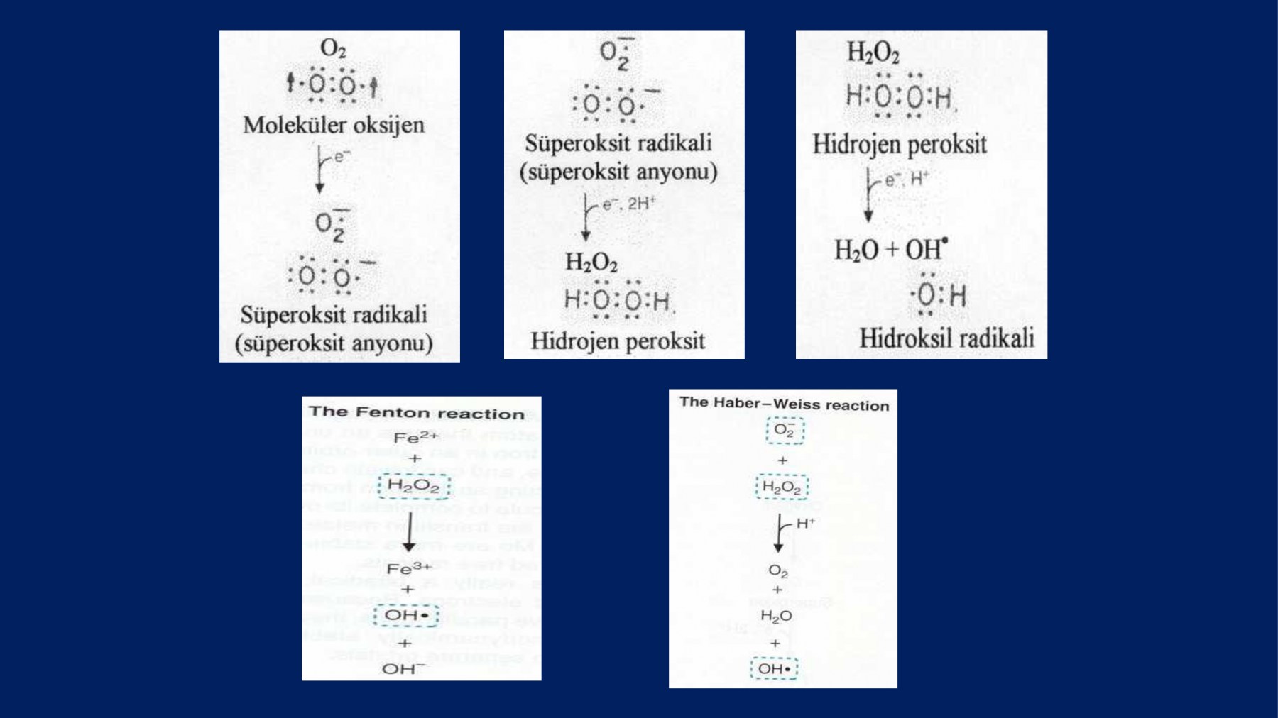 Erkek İnfertilitesinde Proxeed Plus