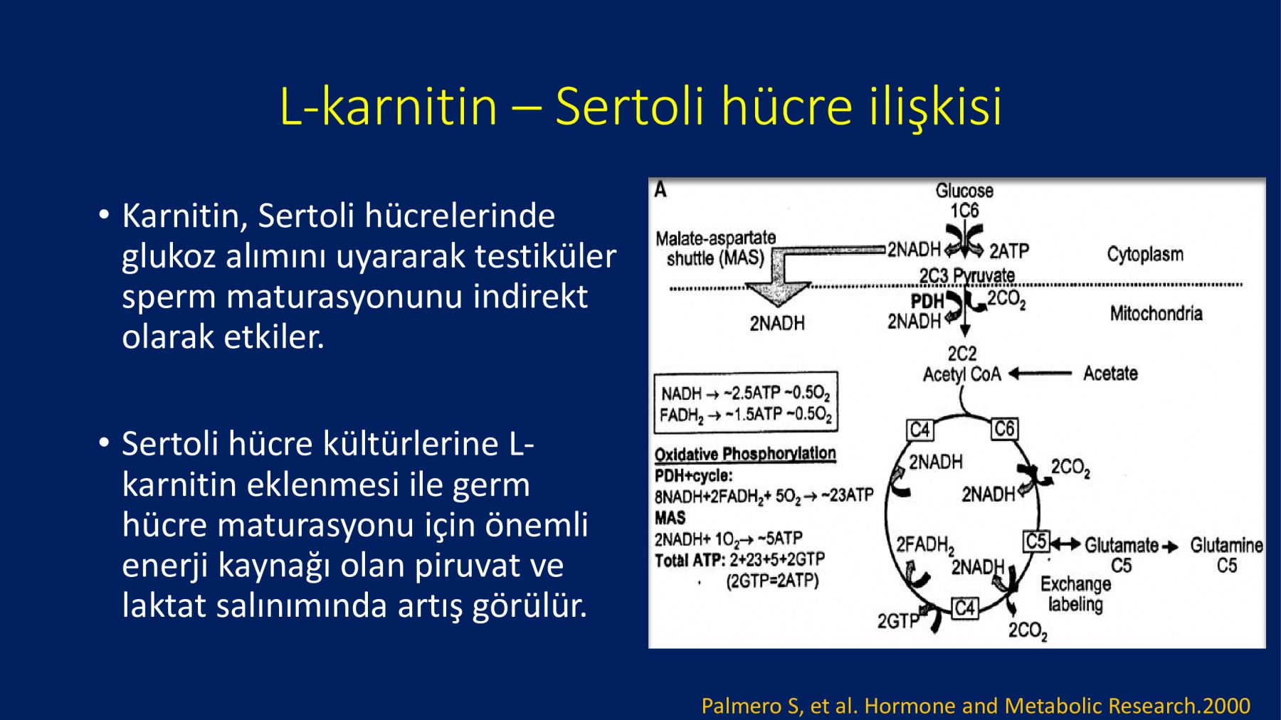 Erkek İnfertilitesinde Proxeed Plus