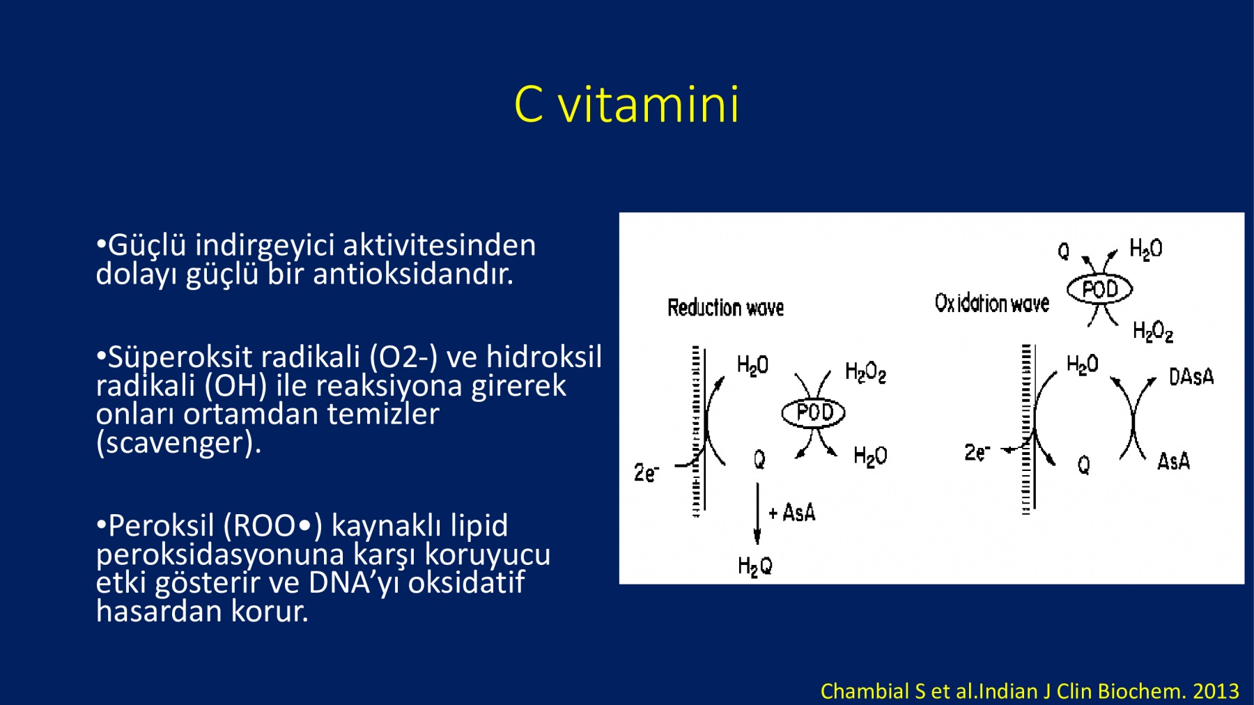 Erkek İnfertilitesinde Proxeed Plus