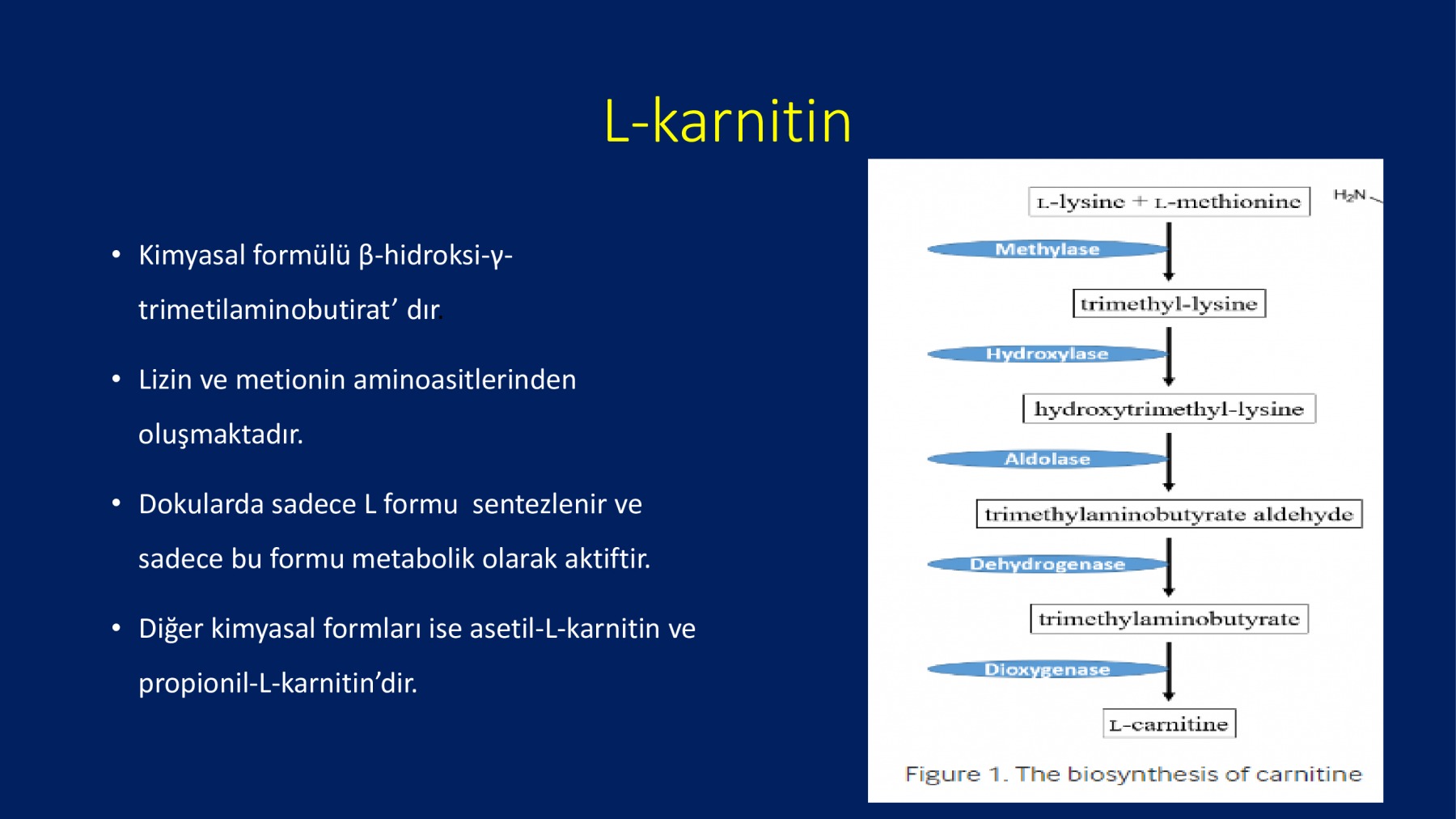 Erkek İnfertilitesinde Proxeed Plus