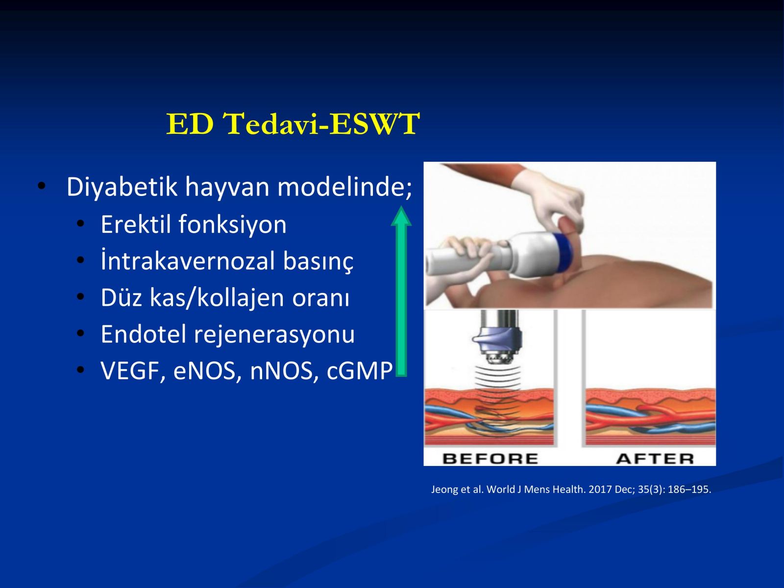 Erektil Disfonksiyon Tedavisi